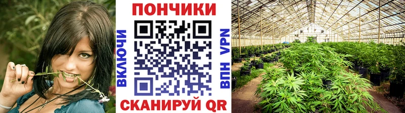 Где купить наркотики Ноябрьск blacksprut маркетплейс  Мефедрон  СОЛЬ  Бошки Шишки  ГАШ  Cocaine 