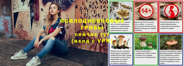 скорость Бородино