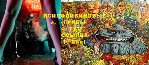 2c-b Струнино