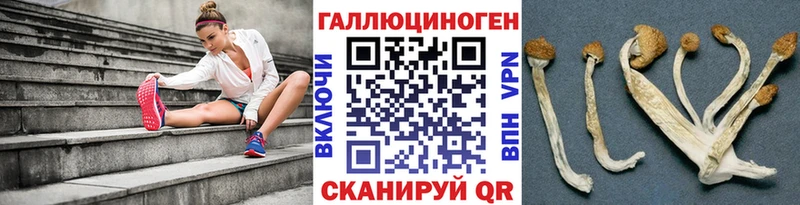 Галлюциногенные грибы прущие грибы Ноябрьск