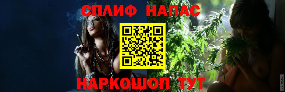 Марихуана конопля Ноябрьск